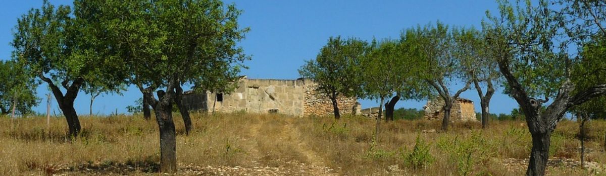 Fincas und Häuser auf Mallorca