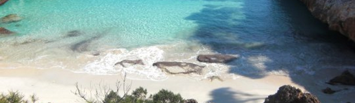 Der Strand von Cala de sa Comuna