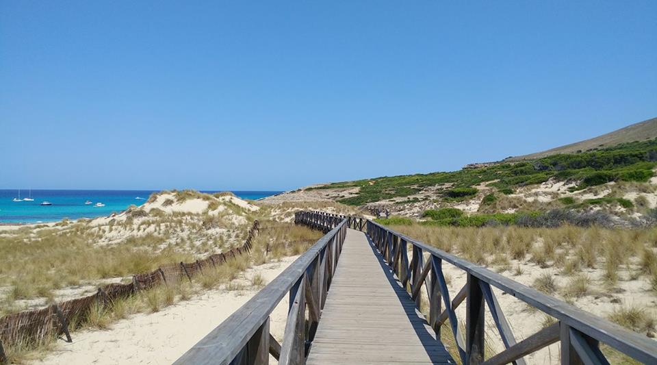 Der Strand von Cala Mesquida 2