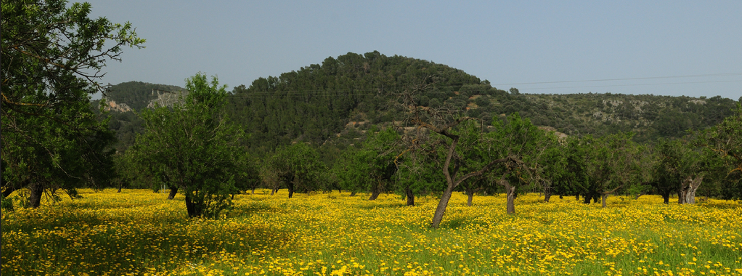 Mallorca in der nebensaison