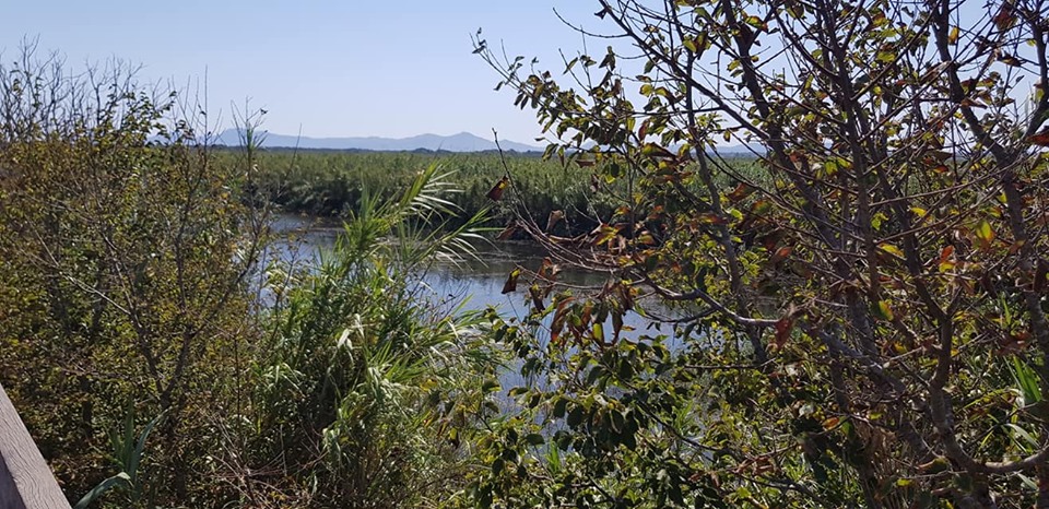 Naturpark in S’Albufera