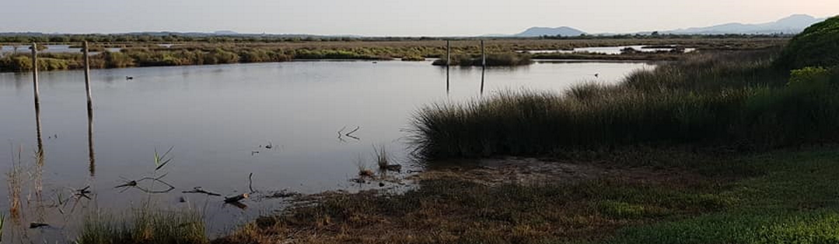 Naturpark in S’Albufera