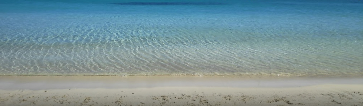 Der Strand von Platja Es Port 