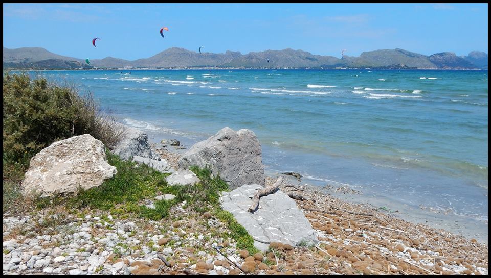 Der Strand von Port de Pollença